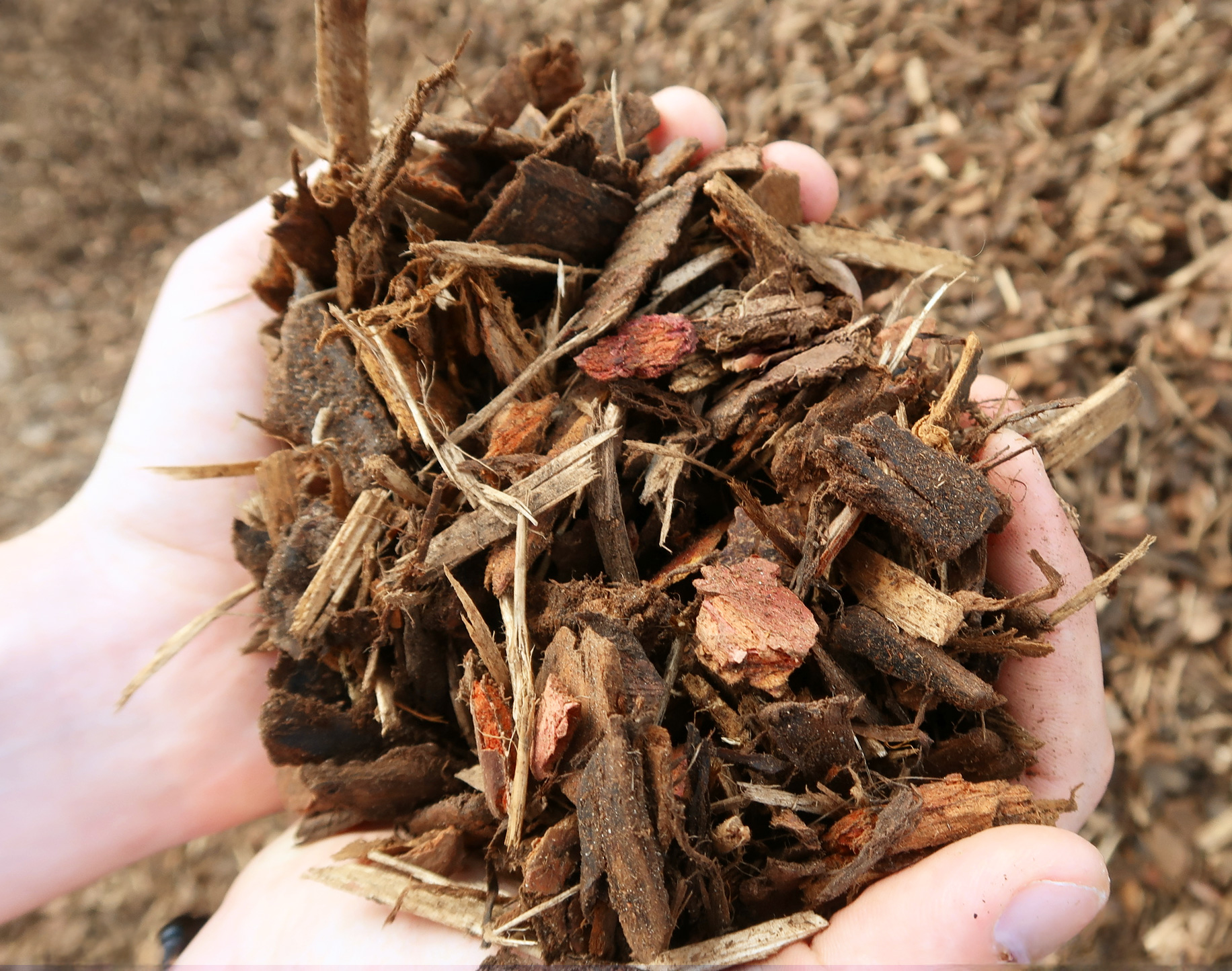 Bark drying with FlowDrya continuous dryer