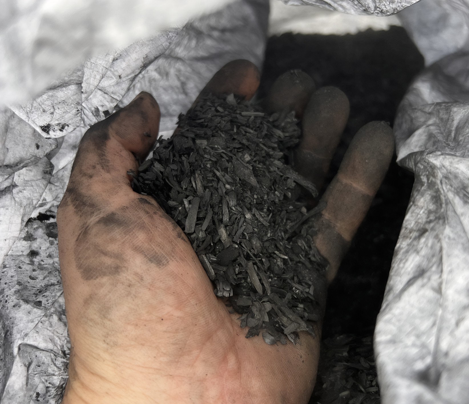 Aus trockenen Ausgangsmaterialien hergestellte Biokohle