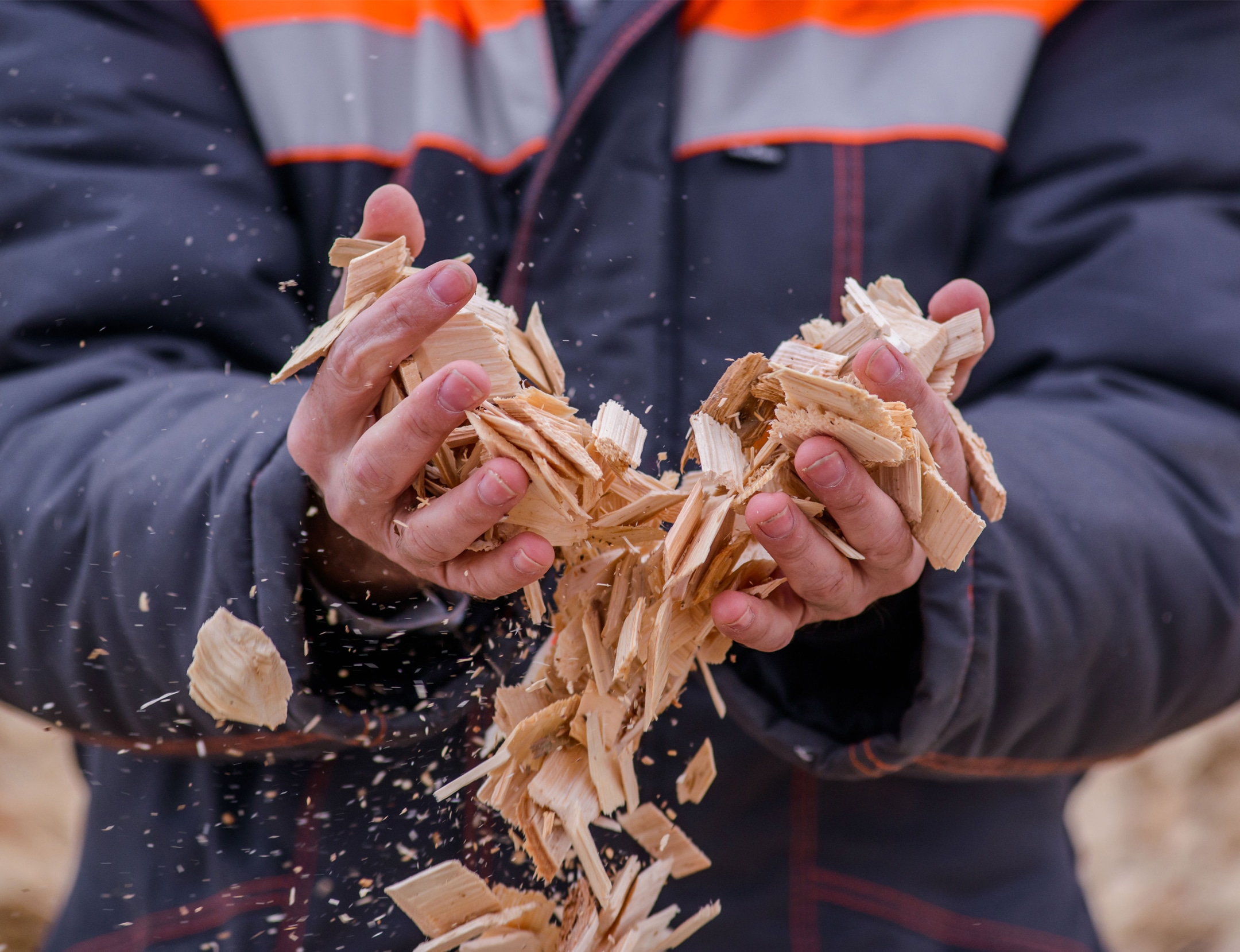 The Complete Guide to Biochar Production from Dried Biomass
