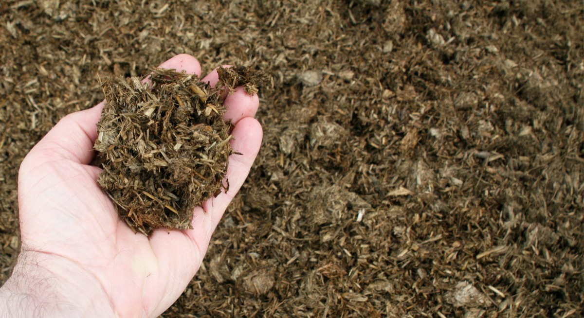 Drying Digestate Fibre with FlowDrya