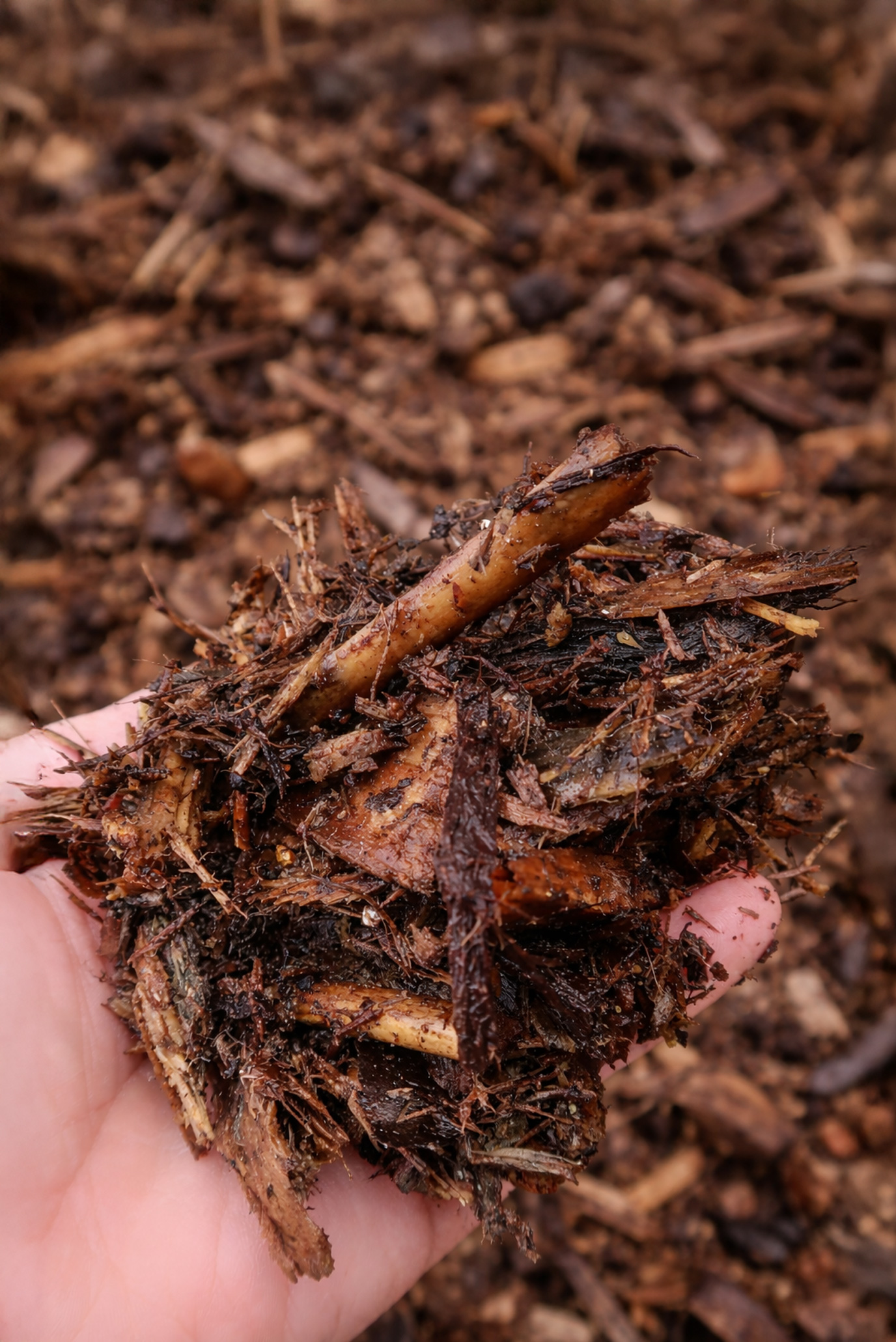 Séchage de bois de récupération traité avec le FlowDrya