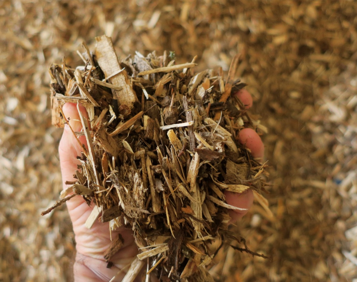 Wood Chip Commercial Blended