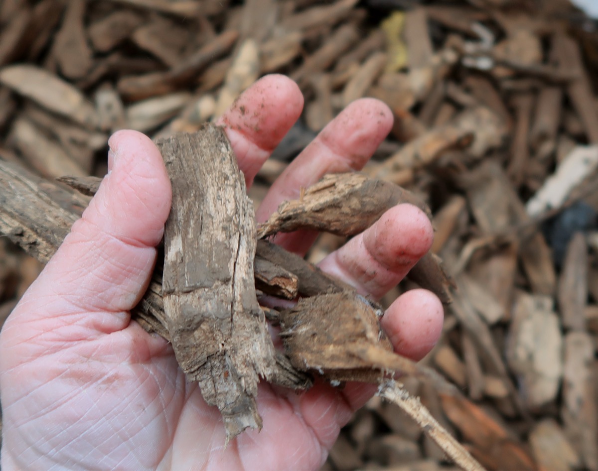 Drying Wood Chip Oversize