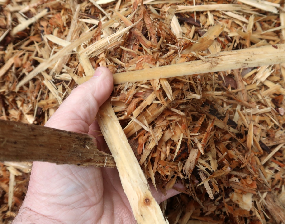 Drying Wood Peelings
