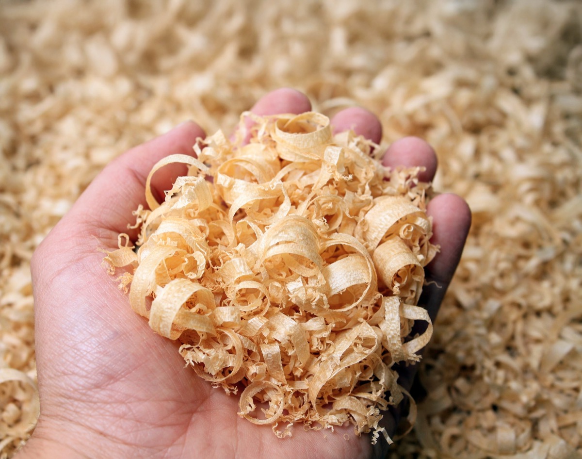 Drying Wood Shavings