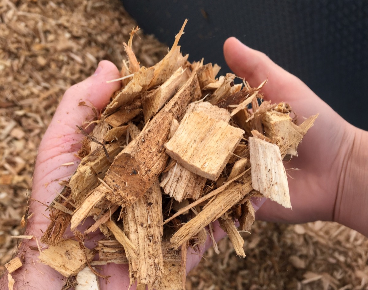 Drying Softwood Mixed Chip Size
