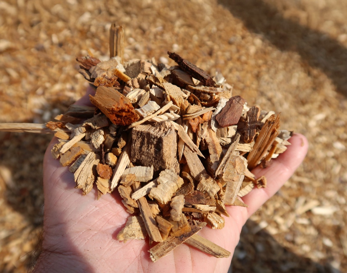 Drying Wood Chip