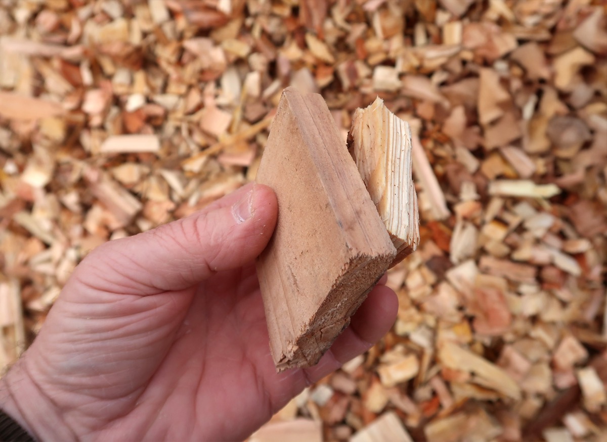 Close-up of wood chip specifications - FlowDrya handles a wide range of chip sizes